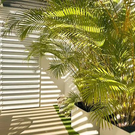 Porto Mare 42 With Heated Pool On The Front Line By Canaryscape *